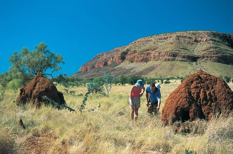 Silent Grove Camp At Wunaamin Miliwundi Ranges Conservation Park - Accommodation Gladstone 3