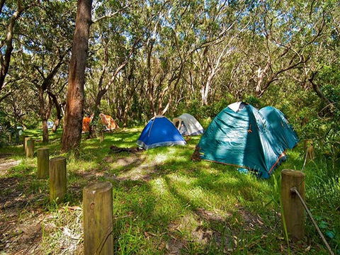 Yagon Campground - Accommodation Gladstone 3