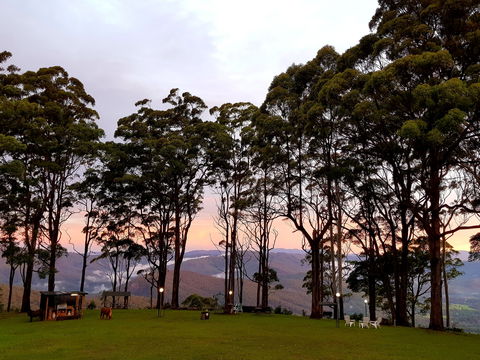 Aaronlee Retreat - Accommodation Gladstone 1