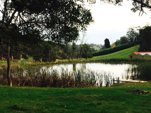 Gracefield Estate - Accommodation Gladstone 0