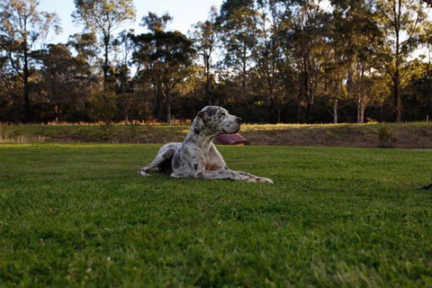 Hunter Valley Retreat - Accommodation Gladstone 0
