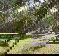 Illaroo group camping area - Accommodation Gladstone