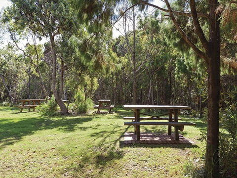 Illaroo Group Camping Area - Accommodation Gladstone 0