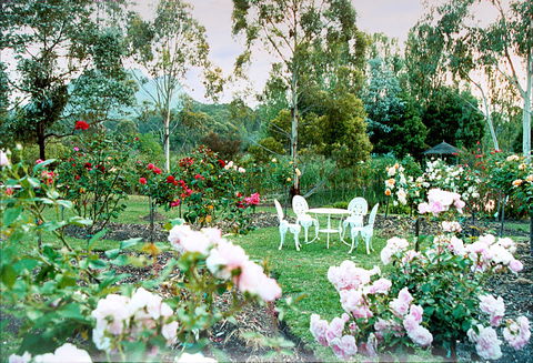 Kingbilli - Accommodation Gladstone 4