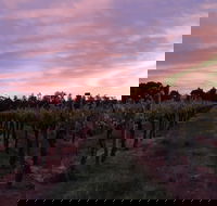 Milawa Vineyard Views - Accommodation Gladstone