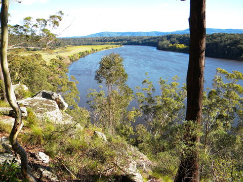 Nowra Showground - Accommodation Gladstone 0