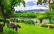 Shingles Riverside Cottages - The - thumb 0