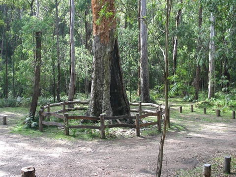 Six Mile Creek Campground - Accommodation Gladstone 0