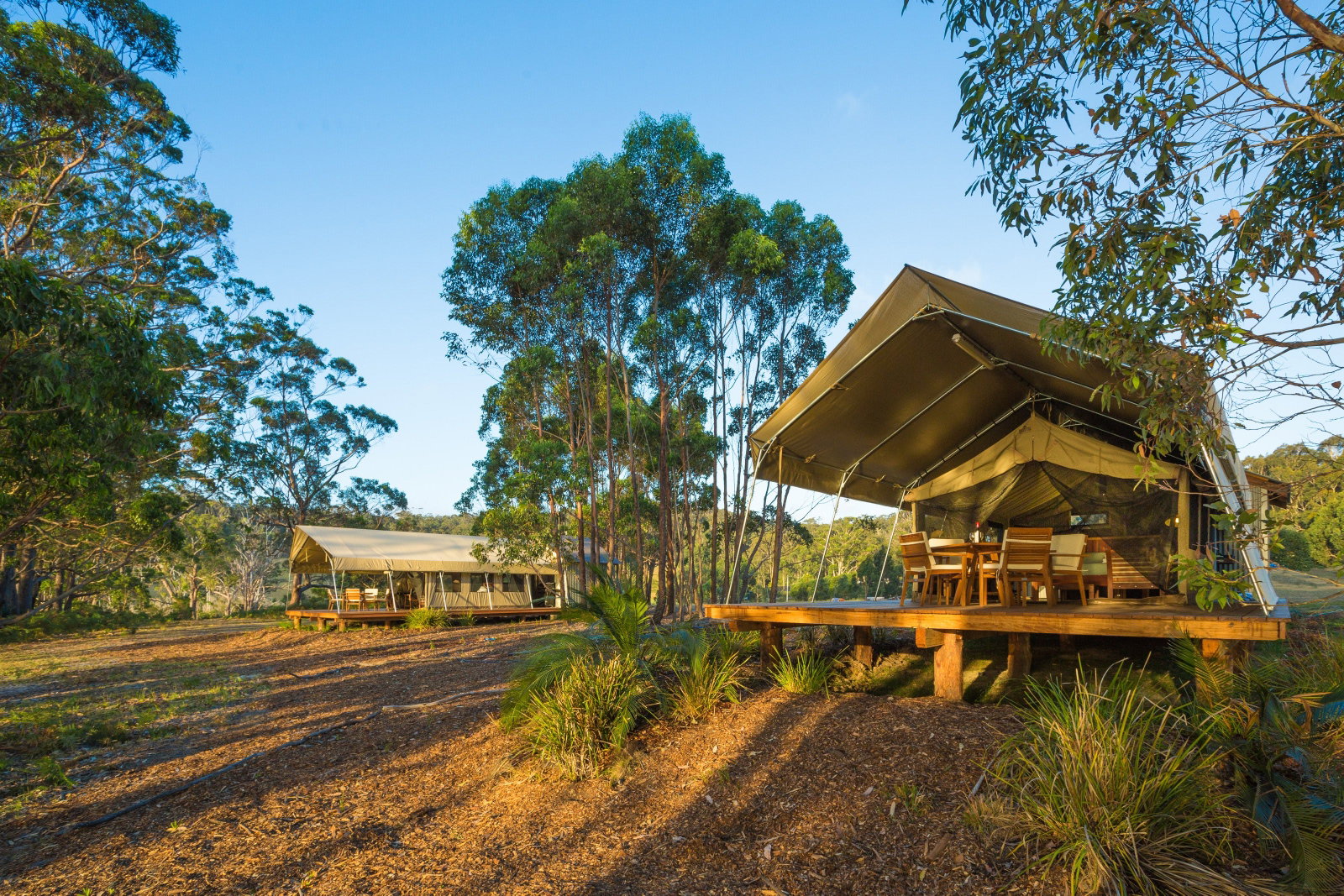 Stony Creek NSW Accommodation Gladstone