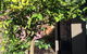 Westerley Accommodation - James House - thumb 9