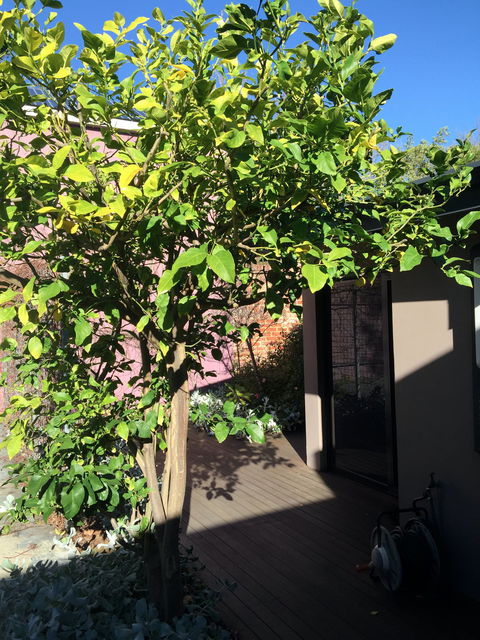 Westerley Accommodation - James House - Accommodation Gladstone 9