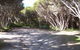 3 Mile Bend Campground - Beachport Conservation Park - thumb 0