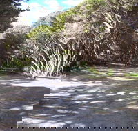 3 Mile Bend Campground - Beachport Conservation Park - Accommodation Gladstone