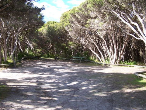 3 Mile Bend Campground - Beachport Conservation Park - Accommodation Gladstone 0