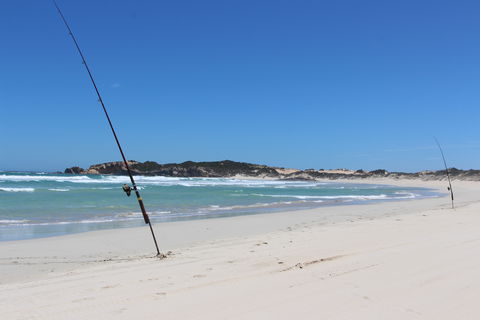 3 Mile Bend Campground - Beachport Conservation Park - Accommodation Gladstone 1