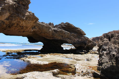 3 Mile Bend Campground - Beachport Conservation Park - Accommodation Gladstone 2