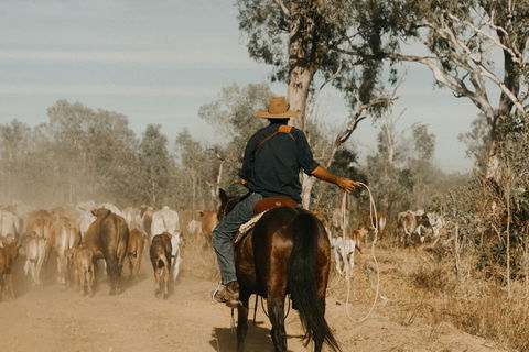 Bullo River Station - Accommodation Gladstone 0