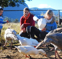 Cedar Glen Farmstay - Accommodation Gladstone