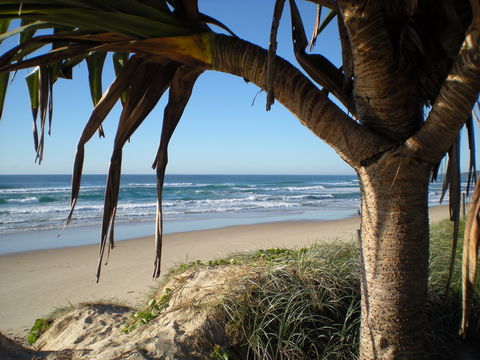 Horizons At Peregian - Accommodation Gladstone 0