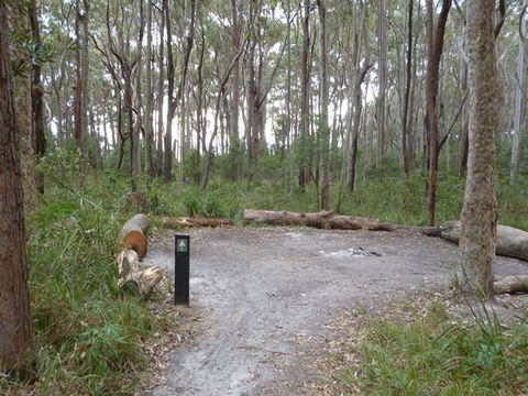 Meroo Head Campground - Accommodation Gladstone 0