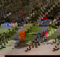 Ngarigo campground - Accommodation Gladstone