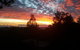 Tamborine Mountain Bed And Breakfast - thumb 2