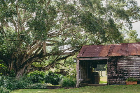The Eumundi Dairy - Accommodation Gladstone 2