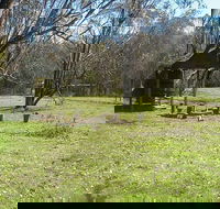 Tin Mines campground - Accommodation Gladstone