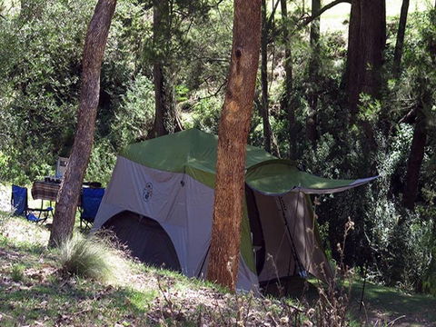 Abercrombie Caves Campground - Accommodation Gladstone 0