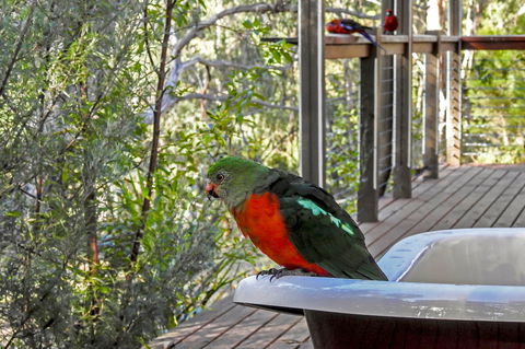 Araluen Park Cottages - Accommodation Gladstone 2