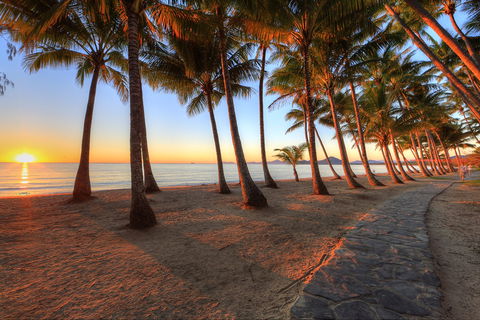 NRMA Palm Cove Holiday Park - Accommodation Gladstone 0