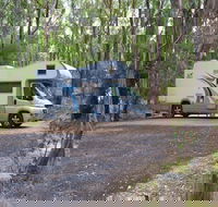 Wollomombi campground - Accommodation Gladstone