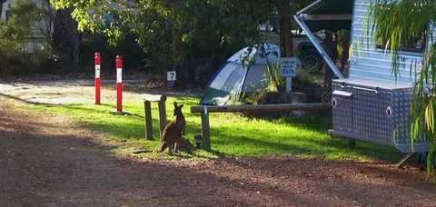 Aroundtu-It Eco Caravan Park - Accommodation Gladstone 5