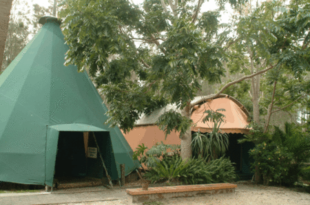The Arts Factory Backpackers Lodge - Accommodation Gladstone 1
