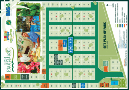 BIG4 Plantation Caravan Park - Accommodation Gladstone 2
