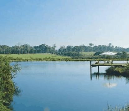 Forest Rise Eco Retreat - Accommodation Gladstone 0