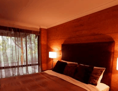 Forest Rise Eco Retreat - Accommodation Gladstone 1