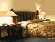 Comfort Inn Treetop Walk - Accommodation Gladstone 0