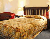 Comfort Inn Treetop Walk - Accommodation Gladstone 2