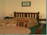 Comfort Inn Treetop Walk - Accommodation Gladstone 3