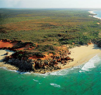 Eco Beach Wilderness Retreat - Accommodation Gladstone 2