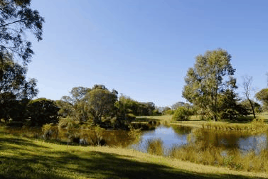 BIG4 Peppermint Caravan Park - Accommodation Gladstone