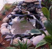 Equal Balance Bed and Breakfast - Accommodation Gladstone