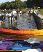Turner Caravan Park - Accommodation Gladstone 1