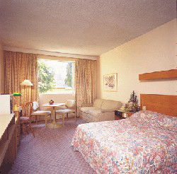 Country Comfort Armidale - Accommodation Gladstone 3