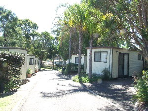 Shady Willows Caravan Park - Accommodation Gladstone 1