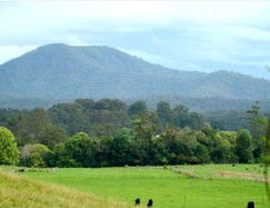Bellingen Farmstay - Accommodation Gladstone 4