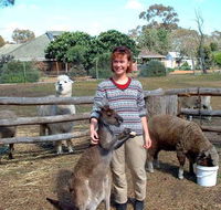 Kemminup Farm - Accommodation Gladstone