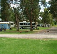 Harvey Rainbow Caravan Park - Accommodation Gladstone