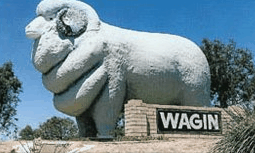 Wagin Motel - Accommodation Gladstone